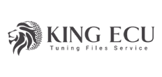 Supported vehicle brand for ECU tuning 8